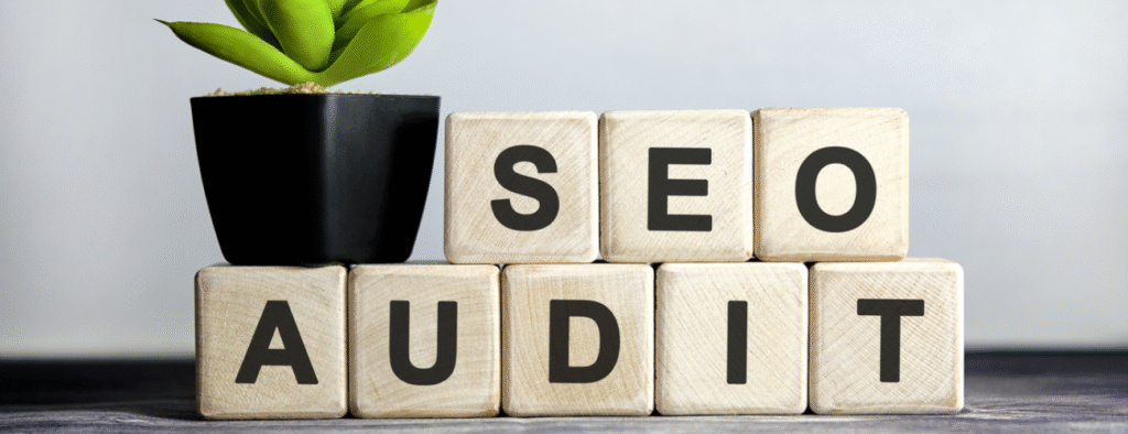 Exclusive SEO Audit Service