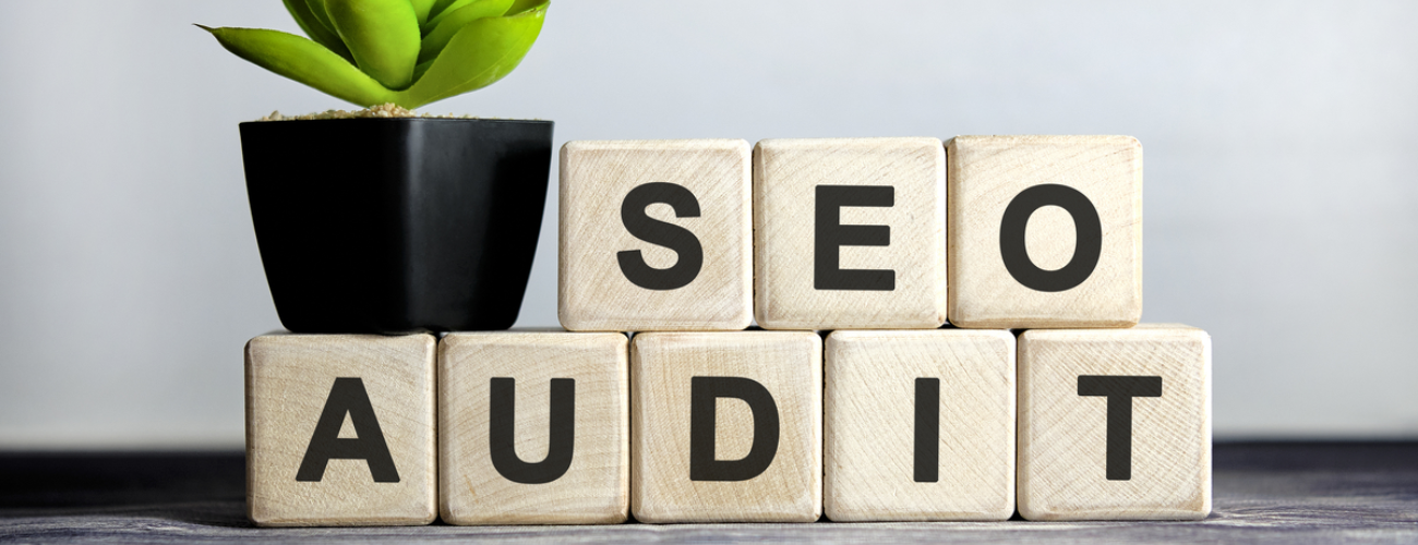 Exclusive SEO Audit Service